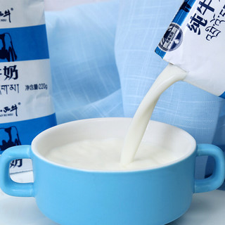 XIAOXINIU 小西牛 纯牛奶 220g*16袋
