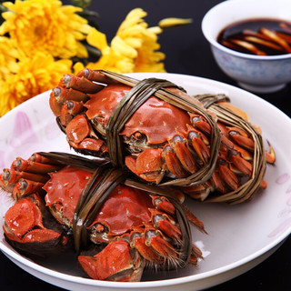 御鲜之王 大闸蟹鲜活现货生鲜螃蟹礼盒 海鲜水产 全公蟹3.8-4.1两/只  4只