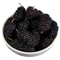 YUMANTIANXIA 域曼天下 黑桑葚干 500g