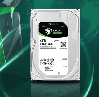 SEAGATE 希捷 银河Exos 7E8系列 4TB 3.5英寸企业级硬盘 ST4000NM000A (7200rpm、PMR)