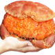 PLUS会员：首鲜道 熟冻面包蟹 2只 1.6kg-2kg