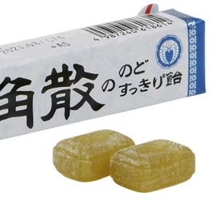 RYUKAKUSAN 龍角散 润喉糖 原味 10粒 40g