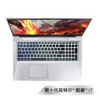 MECHREVO 机械革命 深海泰坦X8 Pro 17.3英寸笔记本电脑（i7-10875H、16GB、512GB、 RTX3060）