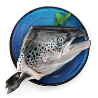 三文鱼头净重1.2kg大西洋鲑烧烤煲汤生鲜海鲜