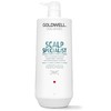 GOLDWELL 歌薇 头皮专家深层清洁洗发水 1L