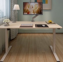 Loctek 乐歌  E2S电动升降书桌 银灰桌腿+胡桃木色桌板 120*60cm