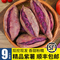 新鲜紫薯3斤板栗地瓜番薯小蜜薯 山芋农家自种沙地
