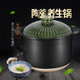 华帝（VATTI）砂锅 大容量陶瓷养生煲 复古绿 5.5L（5-7人用）