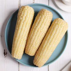 蔬农联 糯玉米棒 新鲜黏玉米穗 真空装加热即食 高档食材 单果180-230g