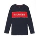 TOMMY HILFIGER 汤米·希尔费格 汤米 09T3710DARK 男式卫衣