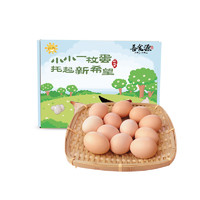 SHANSHIYUAN 善食源 农家散养柴鸡蛋 30枚