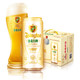青岛啤酒(TSINGTAO)白啤（11度）500ml*12罐 整箱装 官方直营 新老包装随机混发 *3件