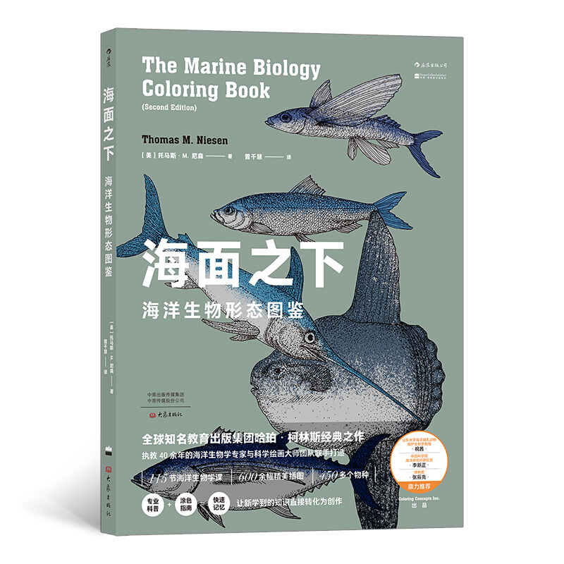 《海面之下：海洋生物形态图鉴》