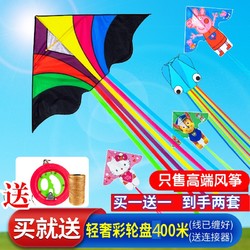 潍坊风筝儿童微风易飞 大型高档风筝成大人新款卡通