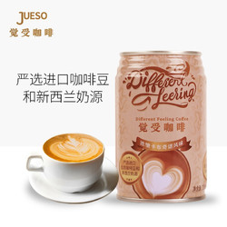 Different Feeling 觉受咖啡 咖啡饮料 10罐*280ml