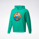 Reebok锐步 CL RSC GR HOODIE男女运动连帽卫衣 GH3706