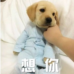 京东 TOPSPORTS官方旗舰店 她的节你的券