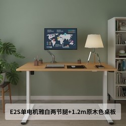Loctek 乐歌 E2S 智能电动升降桌 120*60cm(标准款 )