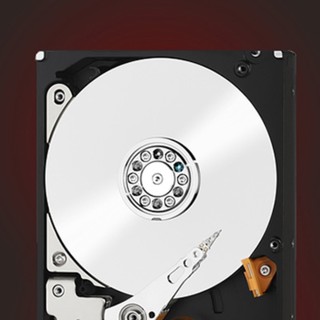 Western Digital 西部数据 红盘Pro系列 3.5英寸NAS硬盘 6TB 256MB(7200rpm、PMR)WD6003FFBX