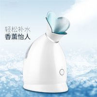 补水仪蒸脸仪便携家用保湿热喷机纳米喷雾蒸脸器