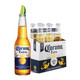 Corona 科罗娜 啤酒墨西哥风味小麦精制啤酒330ml*24瓶整箱