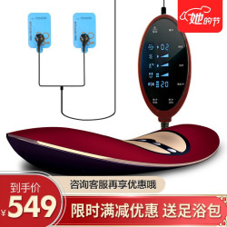 诺泰 腰部按摩器