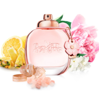 COACH 蔻驰 花馥蕊女士浓香水 EDP 50ml