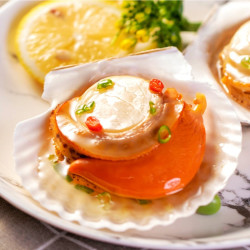 zoneco 獐子岛 鲜汁半壳扇贝 520g 6只