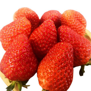 东方态美 九九红颜草莓 1.5kg
