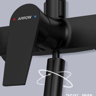 ARROW 箭牌卫浴 黑天鹅系列 AE33109SA 黑色简易花洒套装