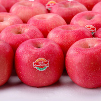 Goodfarmer 佳农 烟台红富士苹果（一级果）/凤姐脐橙 净重5kg礼盒装（还有凤梨、佳沛、荔枝等）