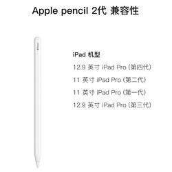 Apple 苹果 Apple Pencil 手写笔（第二代）