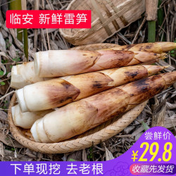 临安 鲜春笋鲜嫩雷笋 整箱5斤出口级