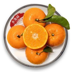 HE YU XIAN 禾语鲜 柑橘子桔子 净重4.5斤 *2件