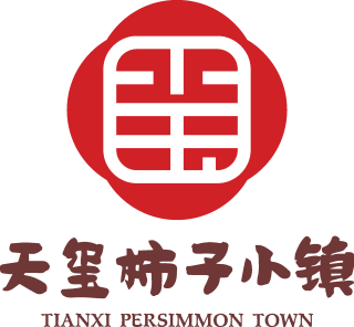 天玺柿子小镇富平柿饼260g2盒