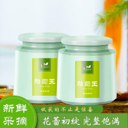 香彻胎菊花茶胎菊王100g罐装桐乡杭白菊泡水喝的凉茶花草茶无硫熏无添加A