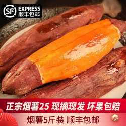 烟薯25 蜜薯甜蜜红薯地瓜5斤装