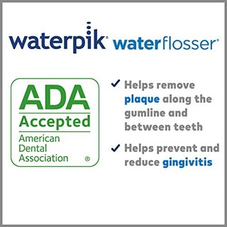 other 其他 Waterpik Aquarius 水洗净牙器