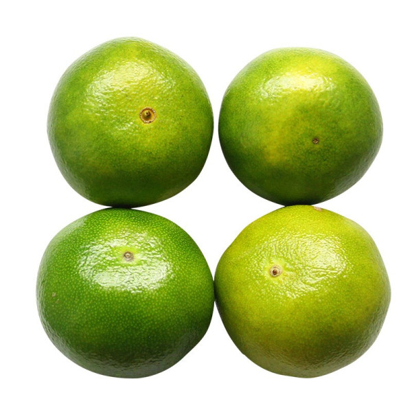 jianguoshe 青皮桔子 2.5kg