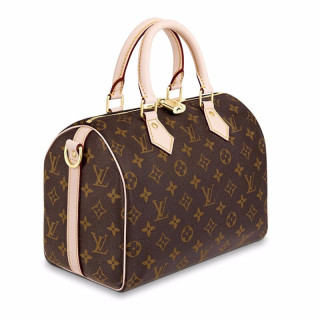 LOUIS VUITTON 路易威登 SPEEDY 25系列 女士手提包 M41113