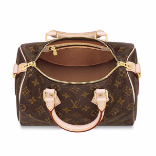 LOUIS VUITTON 路易威登 SPEEDY 25系列 女士手提包 M41113