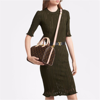 LOUIS VUITTON 路易威登 SPEEDY 25系列 女士手提包 M41113