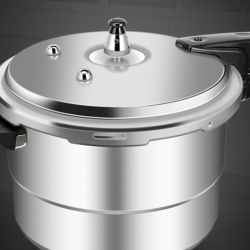 royalstar荣事达rhjyhl22w压力锅