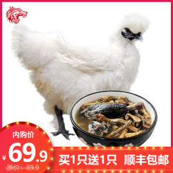 芮瑞 白凤乌鸡土鸡乌骨鸡新鲜鸡肉 月子鸡整鸡整只 杀后净重 700g