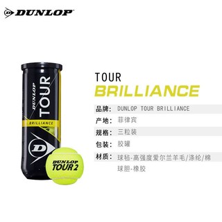 登路普DUNLOP 2020加亮网球Tour Brilliance黄罐训练练习比赛用球DTB601326 *14件