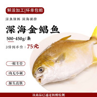 国溢·双湖 金鲳鱼  450g-500g/条 *3件