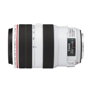 Canon 佳能 EF 70-300mm F/4-5.6L IS USM 远摄变焦镜头 佳能EF卡口 67mm