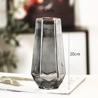 喜韶 北欧简约创意玻璃花瓶 20*5.5cm