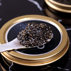 西伯利亚鲟鱼子酱伊朗工艺即食黑鱼籽酱罐头10g罐xblyyzj