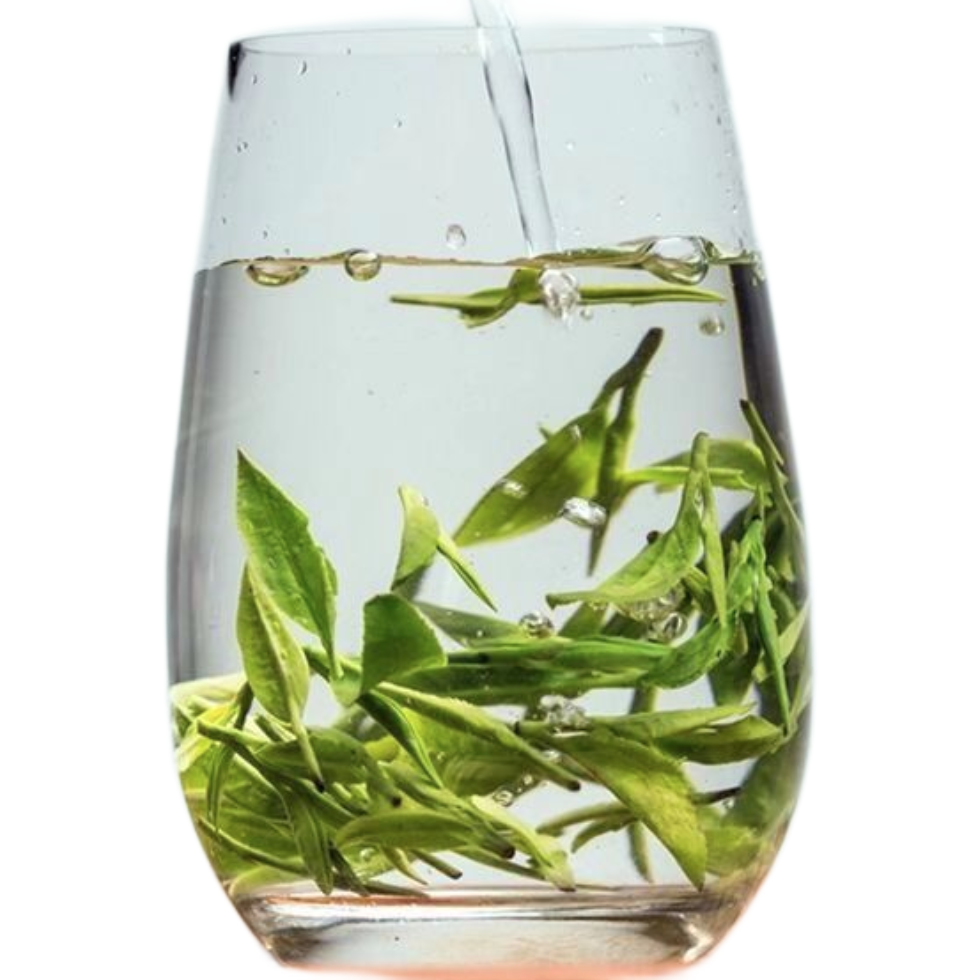 龙井是什么茶（白茶龙井是什么茶）